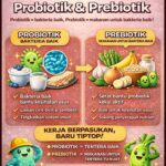 PERBEZAAN PROBIOTIK DAN PREBIOTIK