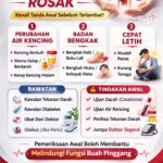 🚨 3 TANDA BUAH PINGGANG ROSAK YANG RAMAI ORANG TAK SEDAR