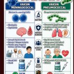PERBEZAAN VAKSIN MENINGOCOCCAL DAN PNEUMOCOCCAL