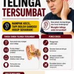 TELINGA TERSUMBAT