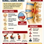 SLIP DISC TU APA